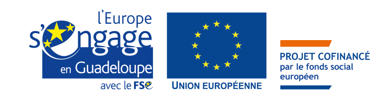 logo fond social européen